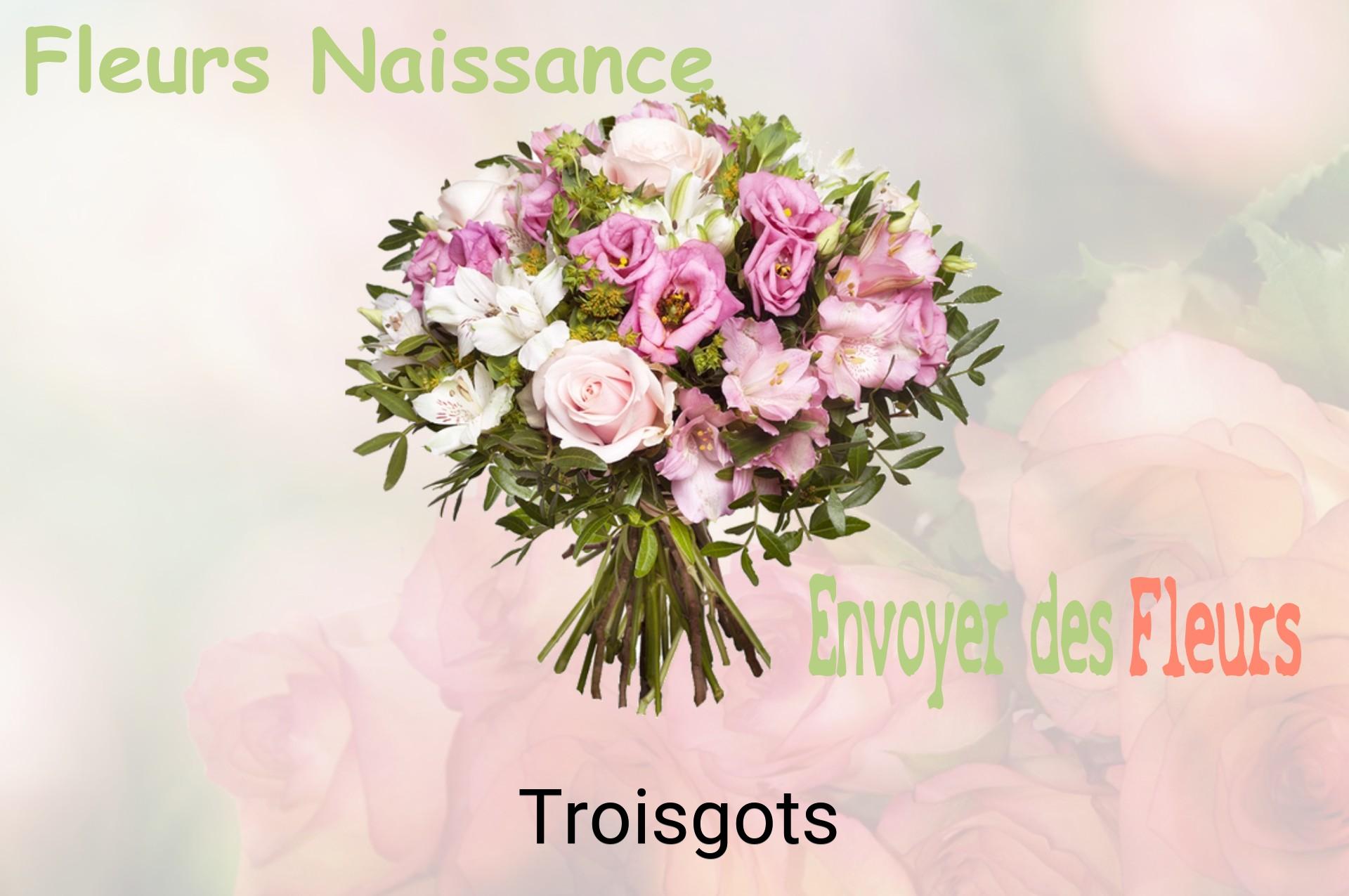 Bouquet de fleurs de naissance livré à Troisgots