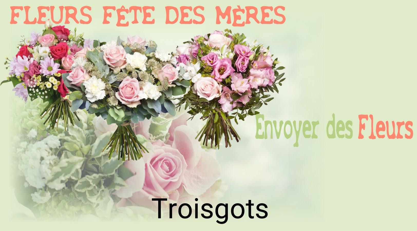 Bouquet de Fête des Mères livré à Troisgots